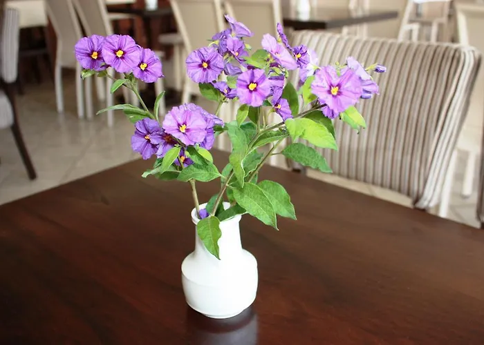 Cariatis Nea Kallikrateia