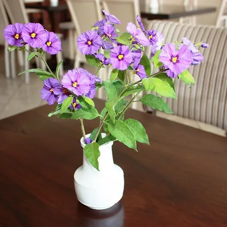 Cariatis Nea Kallikrateia