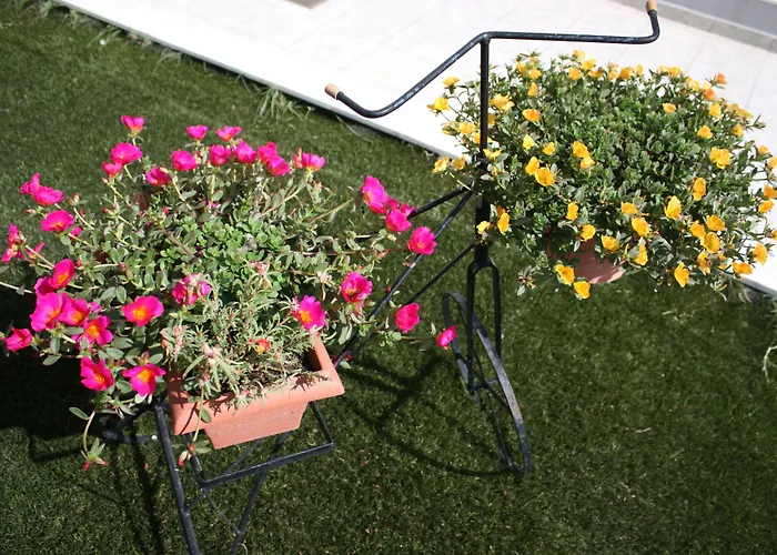 Cariatis Hotel Nea Kallikrateia